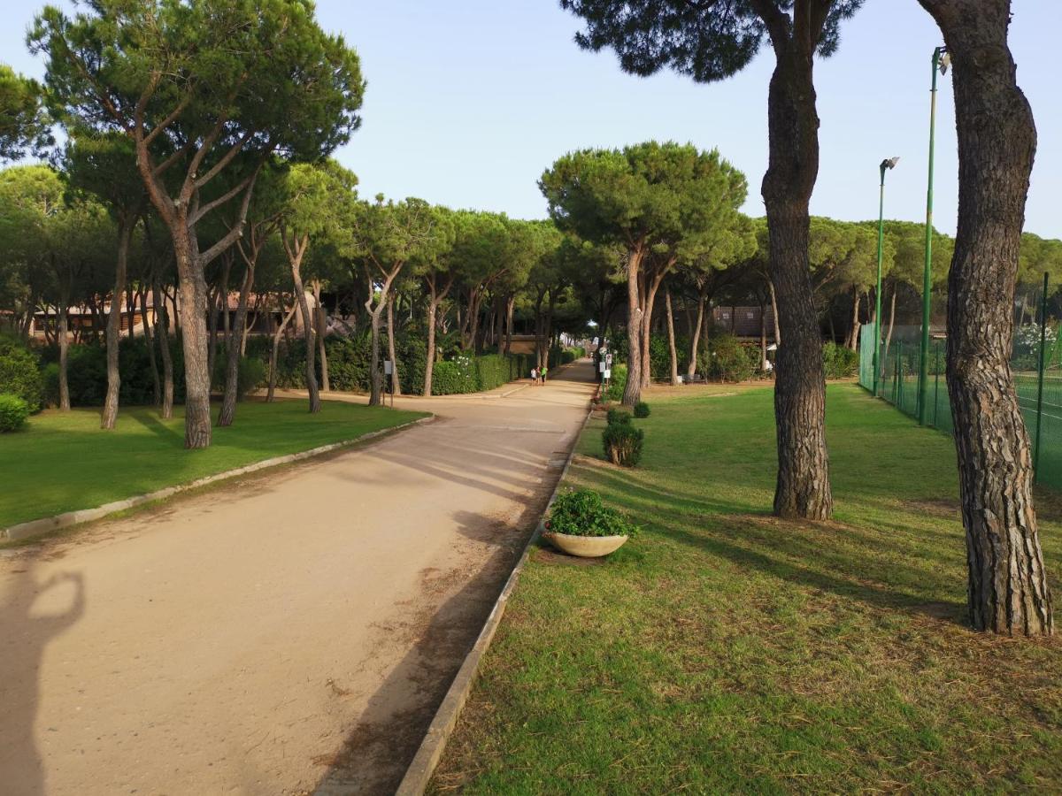 Deliziosa Villetta Sul Mare Appena Ristrutturata Pula Exterior foto