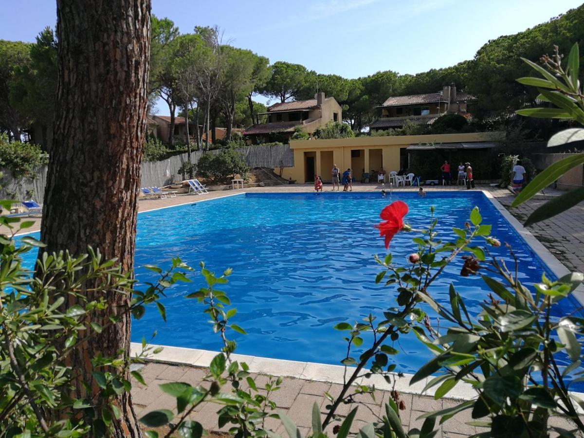 Deliziosa Villetta Sul Mare Appena Ristrutturata Pula Exterior foto