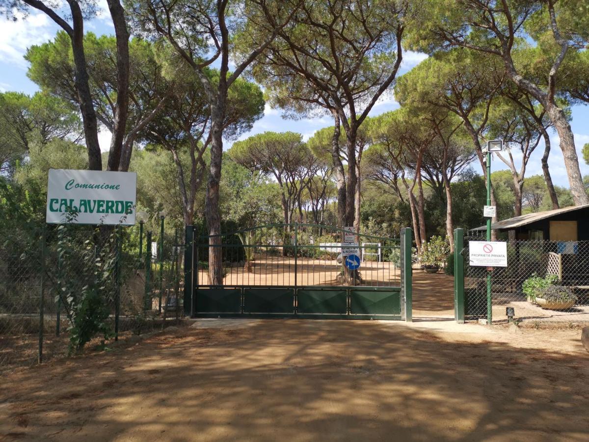 Deliziosa Villetta Sul Mare Appena Ristrutturata Pula Exterior foto